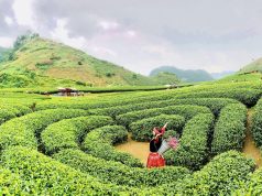 Đi du lịch mùa thấp điểm: Điểm hấp dẫn và kém hấp dẫn