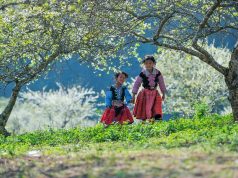 Tư tưởng lên hình những trải nghiệm khi đi du lịch đi du lịch cuối tuần